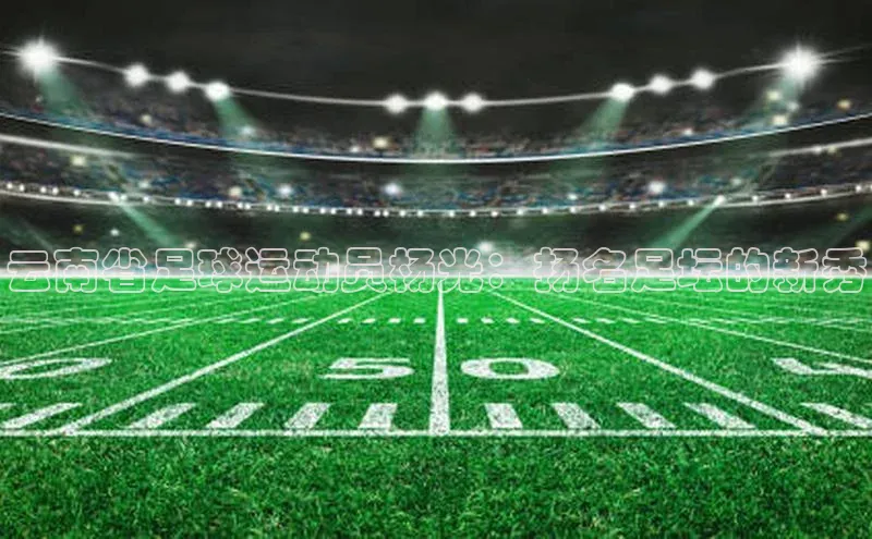 bb体育官网app下载百度 H5云南省足球运动员杨光：扬名足坛的新秀