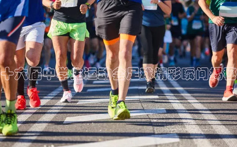 贝博官网官方娱乐度小满支付十六届中学生运动会足球精彩瞬间揭秘