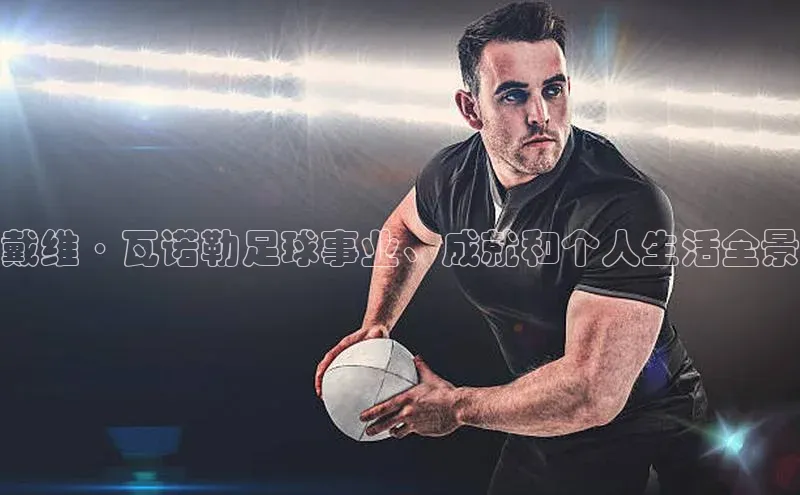 贝博官网下载app百度营销中心戴维·瓦诺勒足球事业、成就和个人生活全景