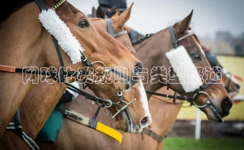 贝博艾佛森代言百家号网球比赛规则与类型概述
