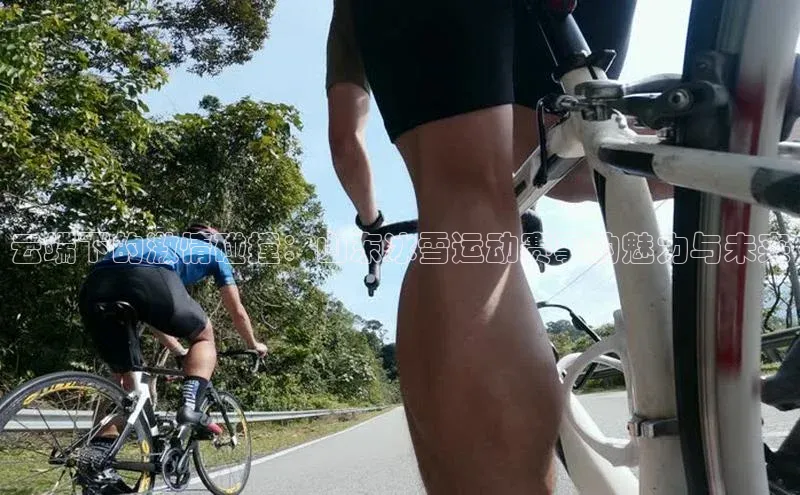 云端下的激情碰撞：山东冰雪运动赛事的魅力与未来