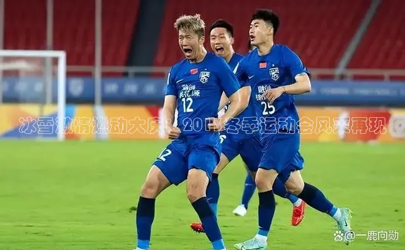 冰雪激情燃动大庆：2013冬季运动会风采再现