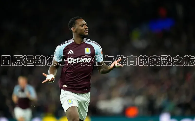 固原运动赛事：文化与体育的交融之旅