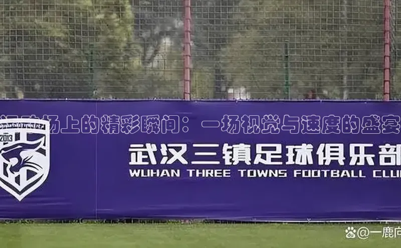 运动场上的精彩瞬间：一场视觉与速度的盛宴