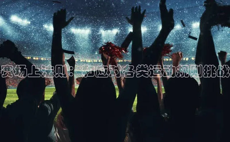 赛场上法则：和应对各类运动规则挑战