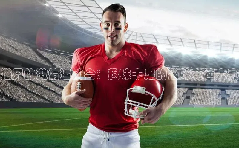 猫界的激情运动会：趣味十足的猫咪竞速大赛