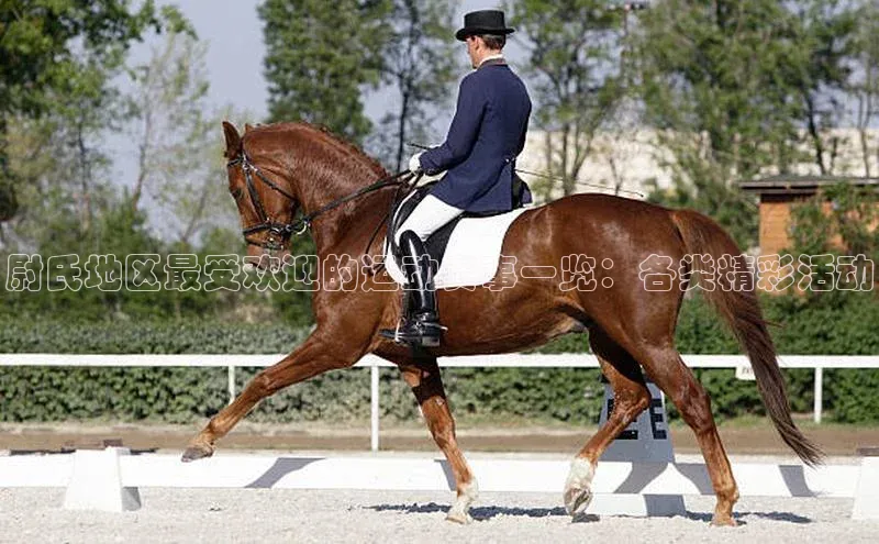 尉氏地区最受欢迎的运动赛事一览：各类精彩活动