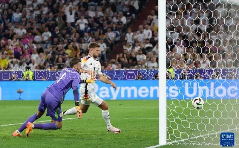 甘孜地区运动会项目：丰富多样的体育竞赛活动