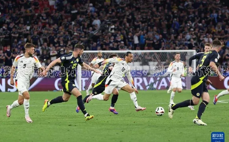 拔河运动的魅力与传统：历史、规则与现代诠释