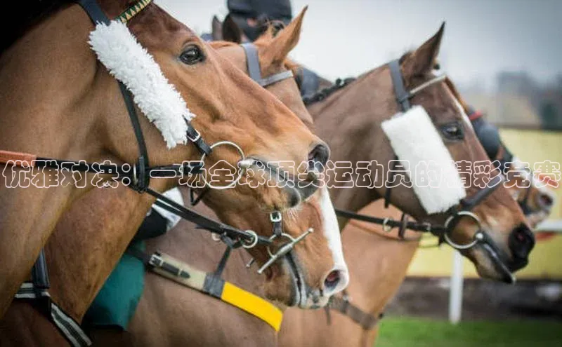 优雅对决：一场全球顶尖运动员的精彩竞赛