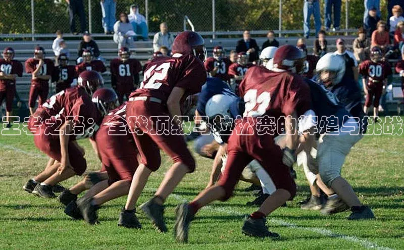 王者之路：全球顶级马拉松赛的辉煌与挑战