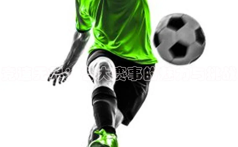 竞速无界：各大赛事的魅力与挑战