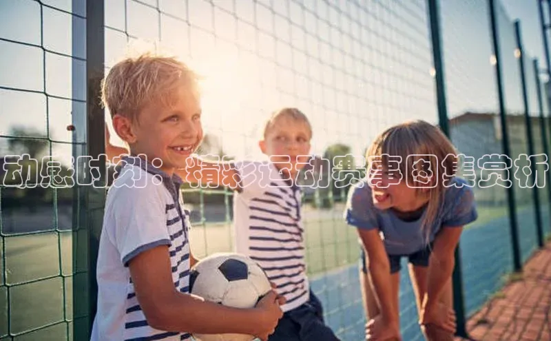 贝博官网官方娱乐