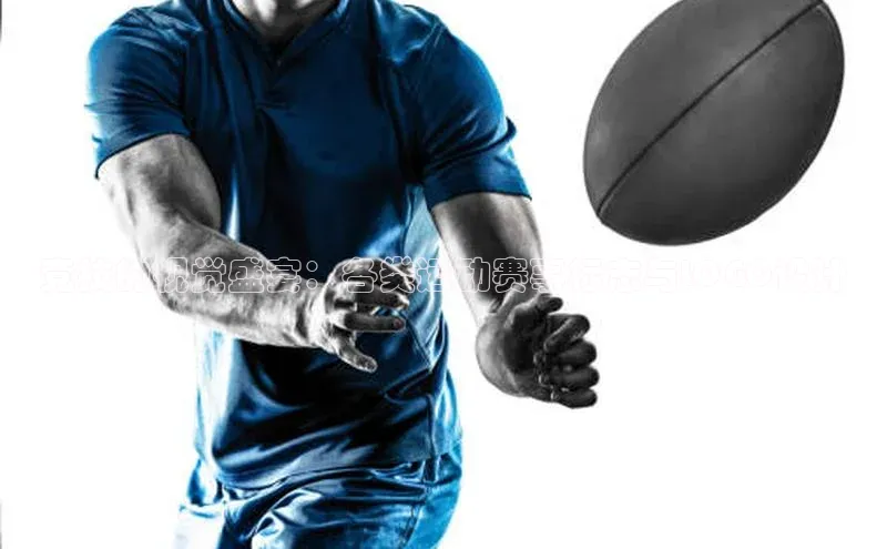 bb体育官网app下载