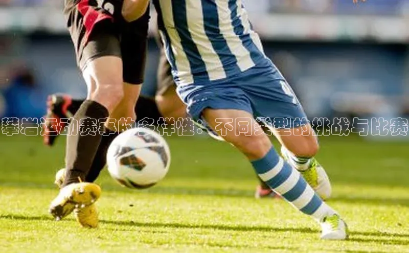 贝博平台客户端app