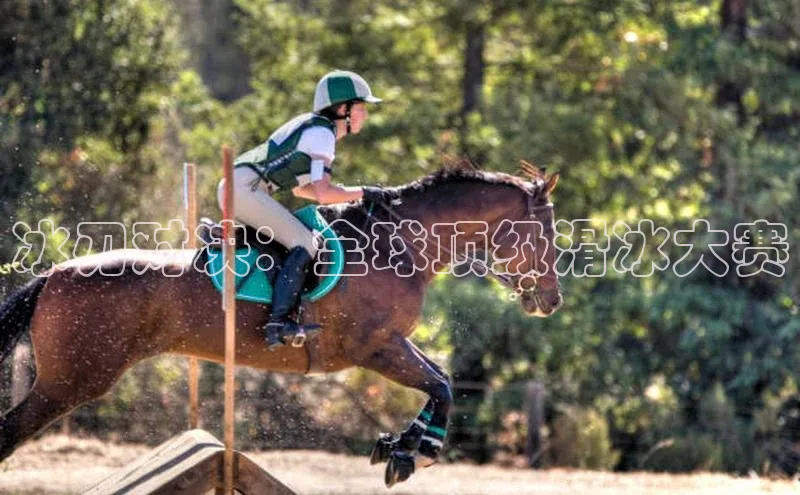 冰刃对决：全球顶级滑冰大赛