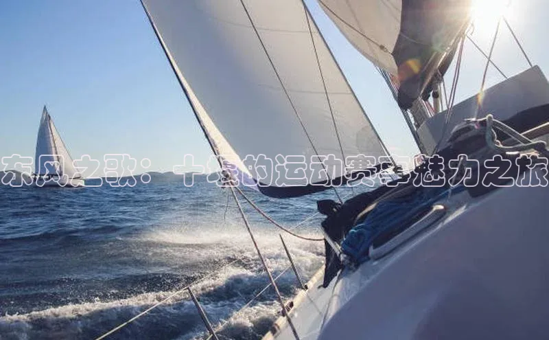 东风之歌：十堰的运动赛事魅力之旅